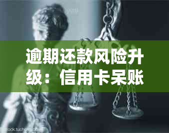 逾期还款风险升级：信用卡呆账记录如何处理成关键问题