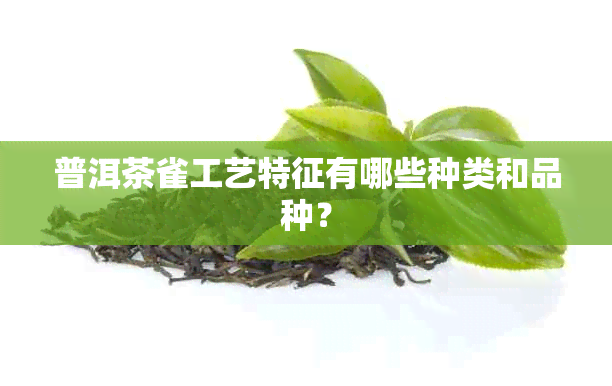 普洱茶雀工艺特征有哪些种类和品种？