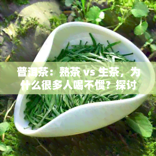 普洱茶：熟茶 vs 生茶，为什么很多人喝不惯？探讨饮用惯、品质和功效差异