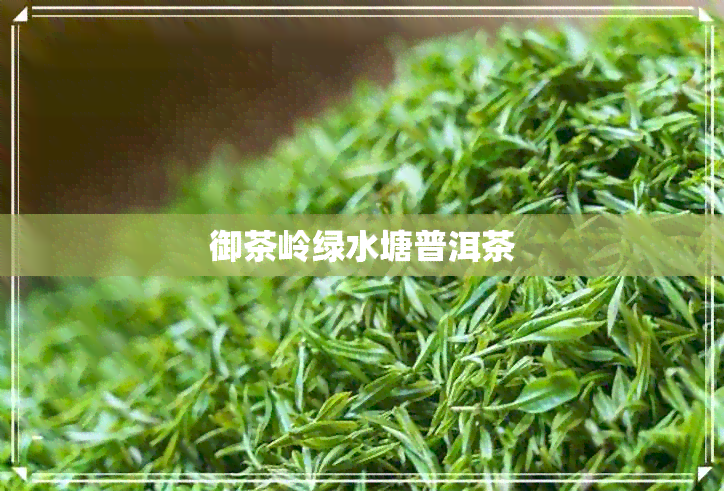 御茶岭绿水塘普洱茶