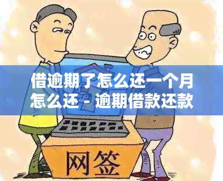 借逾期了怎么还一个月怎么还 - 逾期借款还款策略和建议