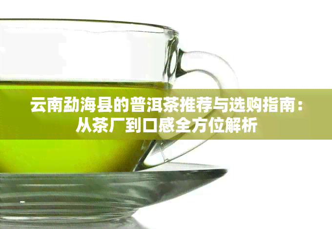 云南勐海县的普洱茶推荐与选购指南：从茶厂到口感全方位解析