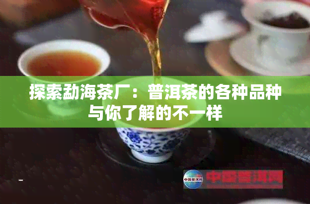 探索勐海茶厂：普洱茶的各种品种与你了解的不一样