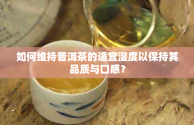 如何维持普洱茶的适宜湿度以保持其品质与口感？