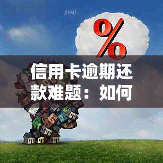 信用卡逾期还款难题：如何应对资金紧张与信用修复？