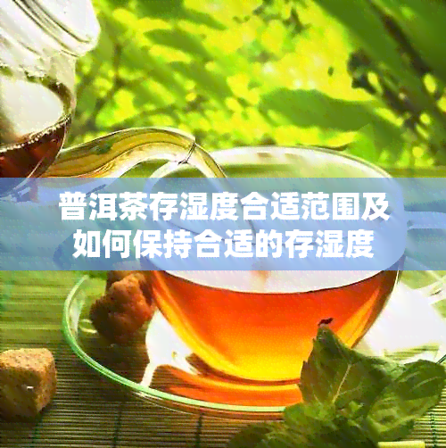 普洱茶存湿度合适范围及如何保持合适的存湿度