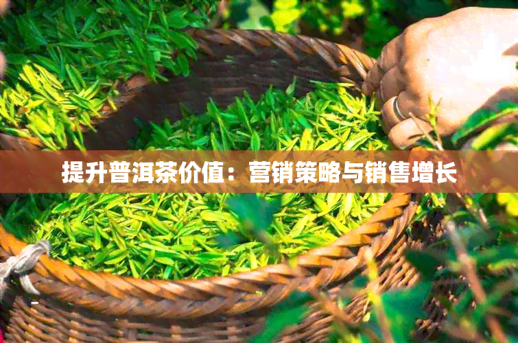 提升普洱茶价值：营销策略与销售增长