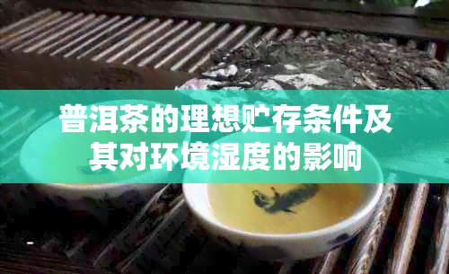 普洱茶的理想贮存条件及其对环境湿度的影响