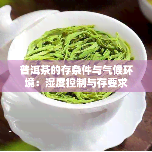 普洱茶的存条件与气候环境：湿度控制与存要求