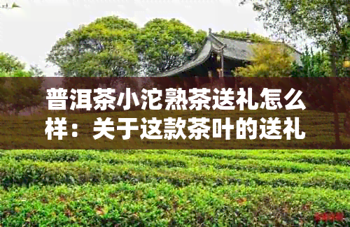 普洱茶小沱熟茶送礼怎么样：关于这款茶叶的送礼建议