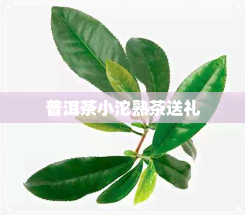 普洱茶小沱熟茶送礼