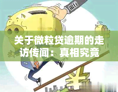 关于微粒贷逾期的走访传闻：真相究竟如何？