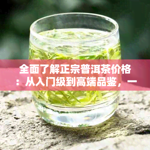 全面了解正宗普洱茶价格：从入门级到高端品鉴，一次搞定！