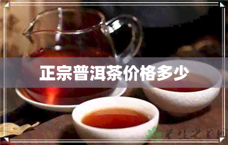 正宗普洱茶价格多少