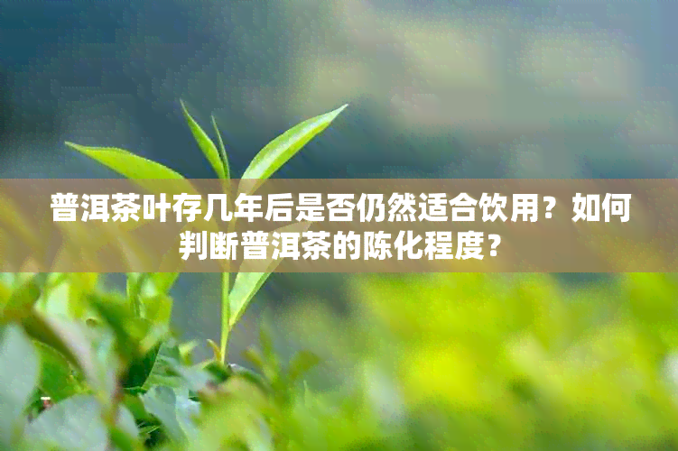 普洱茶叶存几年后是否仍然适合饮用？如何判断普洱茶的陈化程度？