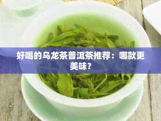 好喝的乌龙茶普洱茶推荐：哪款更美味？