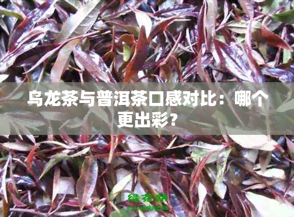 乌龙茶与普洱茶口感对比：哪个更出彩？