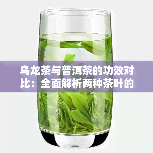 乌龙茶与普洱茶的功效对比：全面解析两种茶叶的营养价值和健益处