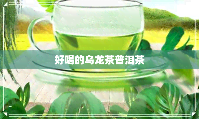 好喝的乌龙茶普洱茶