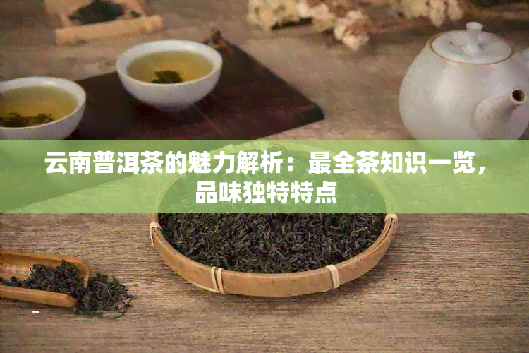 云南普洱茶的魅力解析：最全茶知识一览，品味独特特点