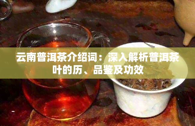 云南普洱茶介绍词：深入解析普洱茶叶的历、品鉴及功效