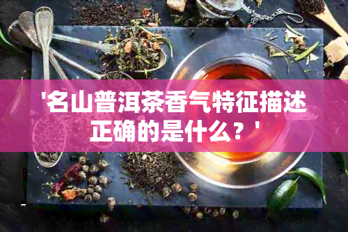 '名山普洱茶香气特征描述正确的是什么？'