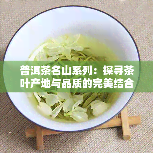 普洱茶名山系列：探寻茶叶产地与品质的完美结合