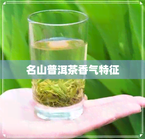 名山普洱茶香气特征