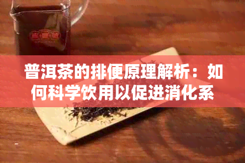 普洱茶的排便原理解析：如何科学饮用以促进消化系统的健？