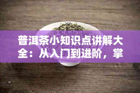 普洱茶小知识点讲解大全：从入门到进阶，掌握普洱茶的必知要点