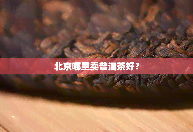 北京哪里卖普洱茶好？