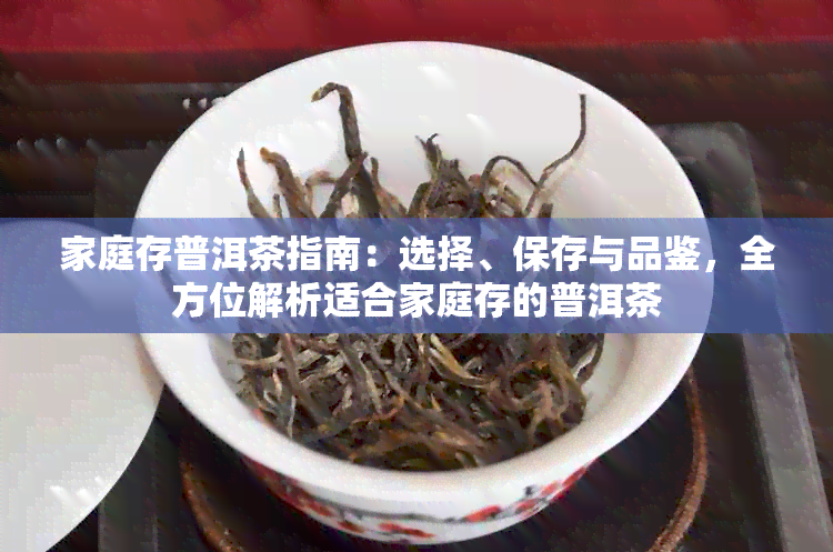 家庭存普洱茶指南：选择、保存与品鉴，全方位解析适合家庭存的普洱茶