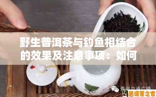 野生普洱茶与钓相结合的效果及注意事项：如何提高钓成功率？