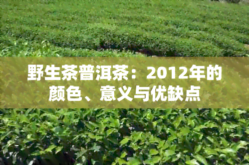 野生茶普洱茶：2012年的颜色、意义与优缺点