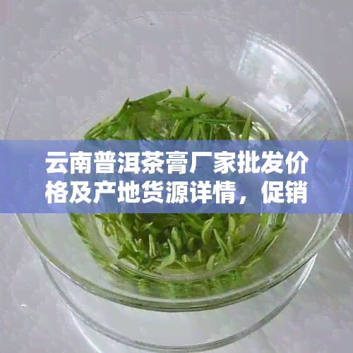 云南普洱茶膏厂家批发价格及产地货源详情，促销活动进行中！