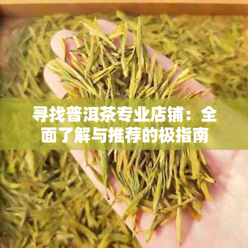 寻找普洱茶专业店铺：全面了解与推荐的极指南