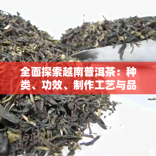 全面探索越南普洱茶：种类、功效、制作工艺与品鉴方法一篇搞定