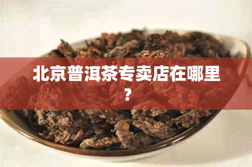 北京普洱茶专卖店在哪里？