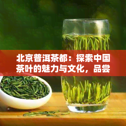 北京普洱茶都：探索中国茶叶的魅力与文化，品尝地道的北京普洱茶