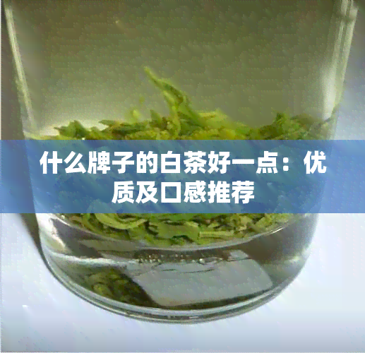 什么牌子的白茶好一点：优质及口感推荐