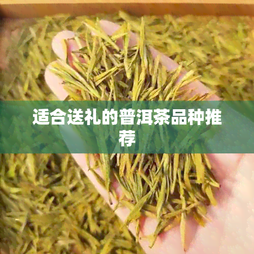 适合送礼的普洱茶品种推荐