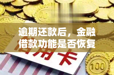 逾期还款后，金融借款功能是否恢复？一天还清能否再次使用？