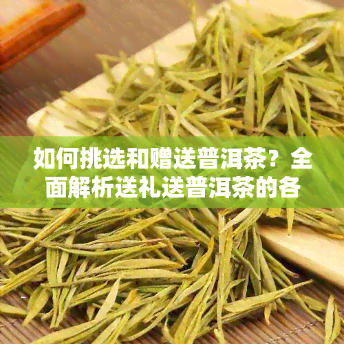 如何挑选和赠送普洱茶？全面解析送礼送普洱茶的各种场合与技巧