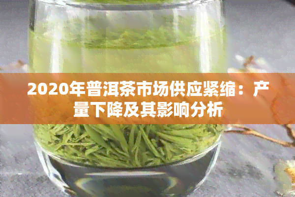 2020年普洱茶市场供应紧缩：产量下降及其影响分析