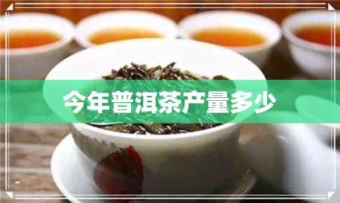 今年普洱茶产量多少