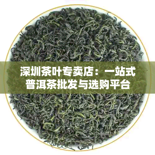 深圳茶叶专卖店：一站式普洱茶批发与选购平台