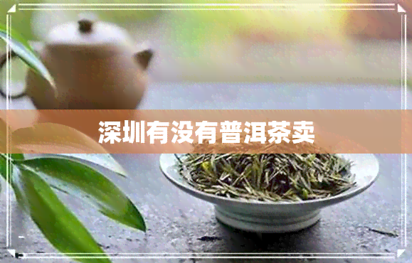 深圳有没有普洱茶卖