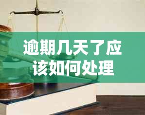 逾期几天了应该如何处理？全面解决逾期还款的应对策略与建议