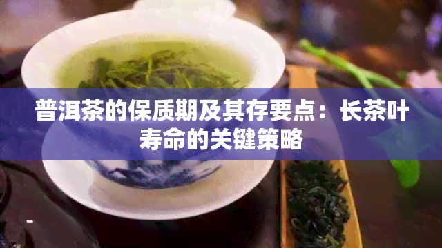 普洱茶的保质期及其存要点：长茶叶寿命的关键策略