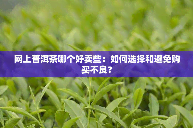 网上普洱茶哪个好卖些：如何选择和避免购买不良？